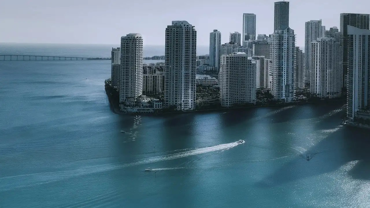 Florida — the market Techy Toes plans local search strategy around