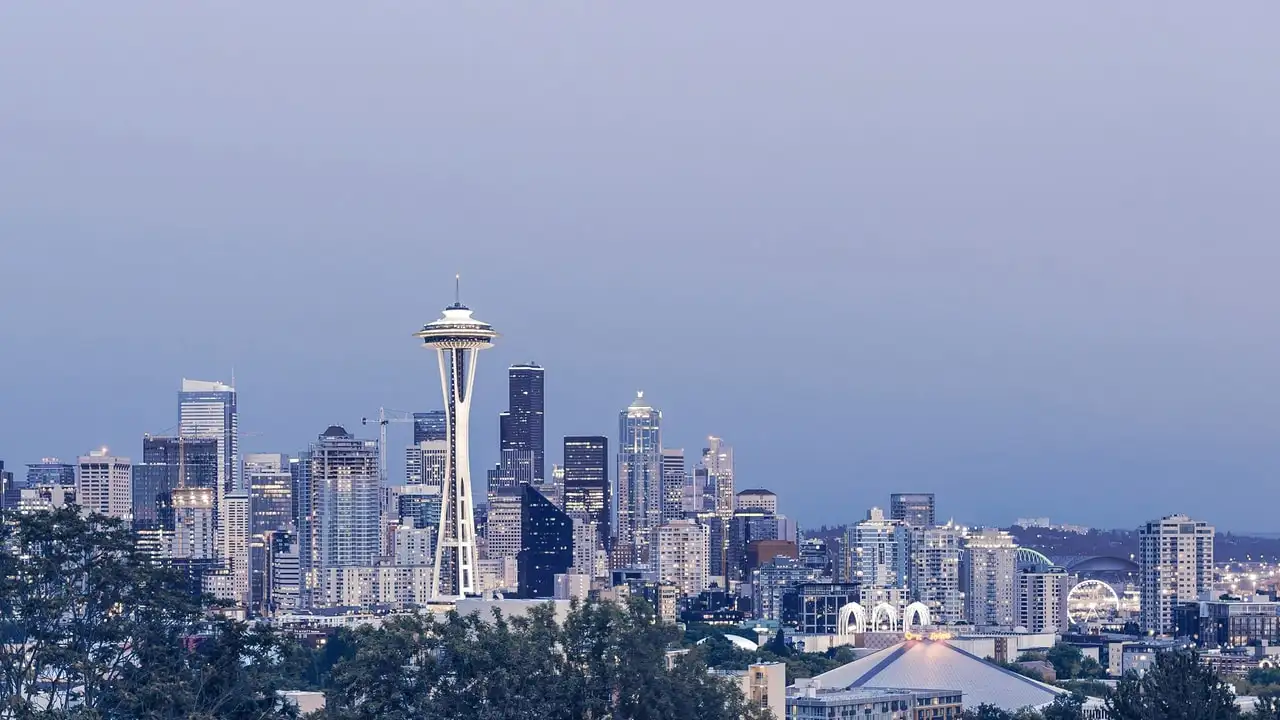 Washington — the market Techy Toes plans local search strategy around